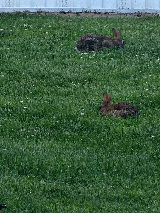 Marquette RV & Mobile Home Park Picture 3