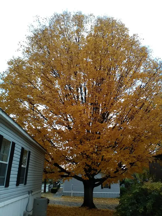 Sunnydale Mobile Home Park Picture 8