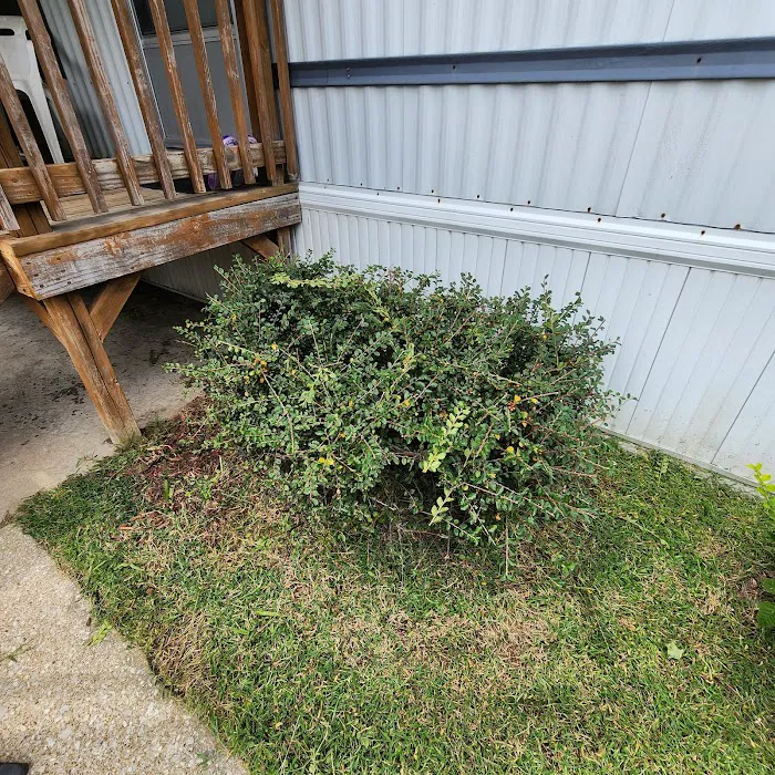 Terrisan Commons Picture 6