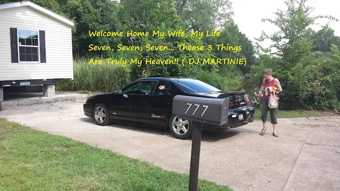 The Willows Picture 6