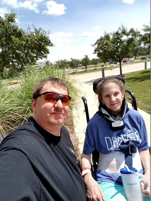 The Willows Picture 7