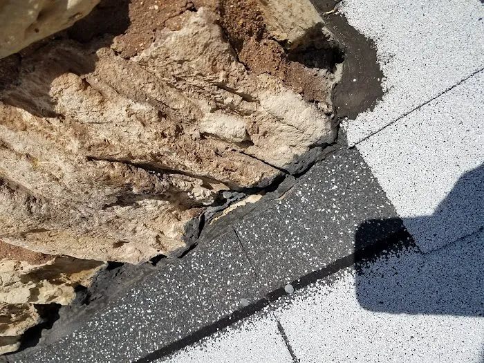 Rex Aire Ct Mobile Home Park Picture 9