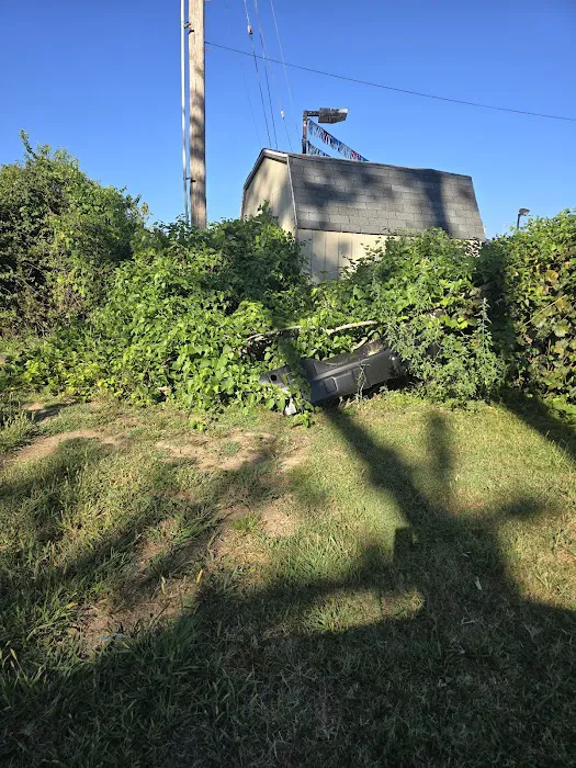 Water’s Edge Rv Park on the Meramec Picture 2