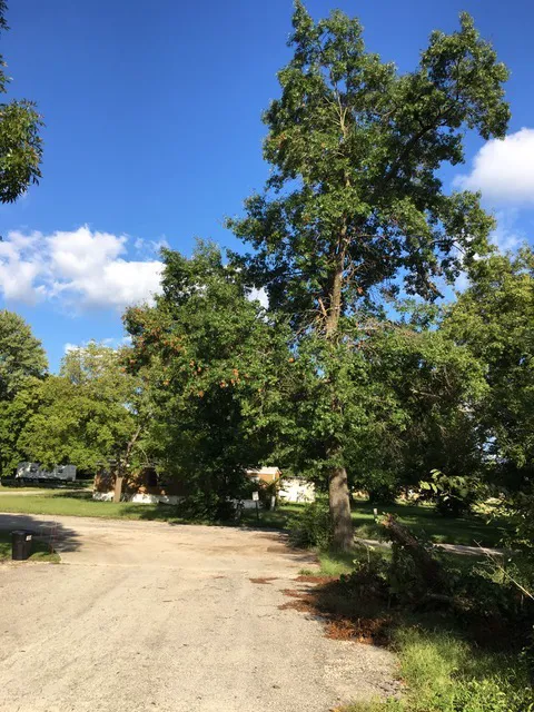 Four Seasons Village Mobile Home and RV Park Picture 7