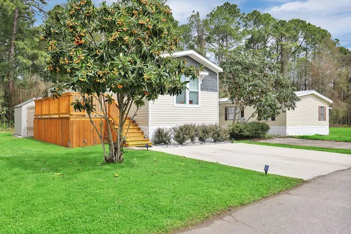 Black Oaks Picture 2