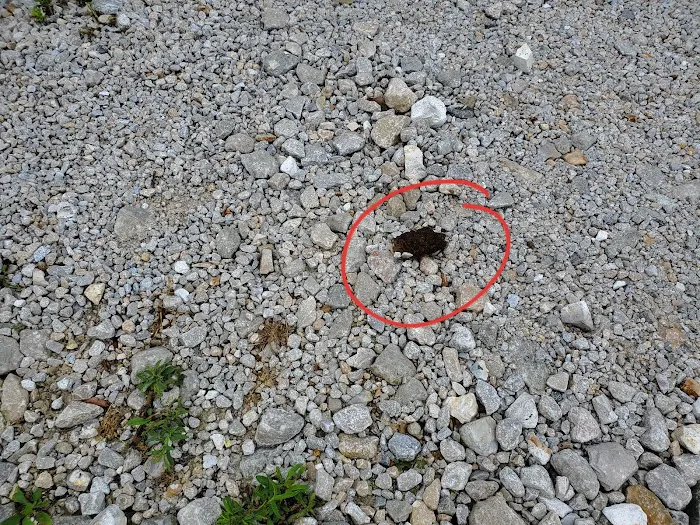 RV Express Picture 5