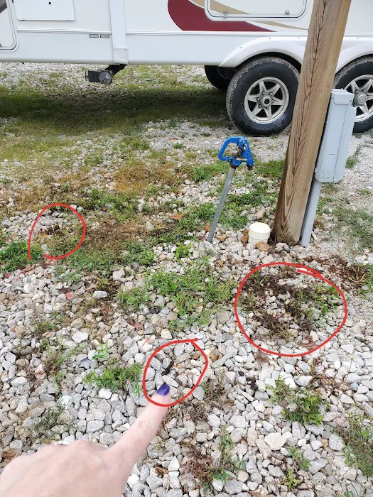 RV Express Picture 7