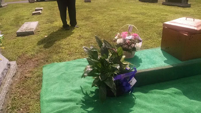 Marshall Estates Mobile Home Park Picture 10