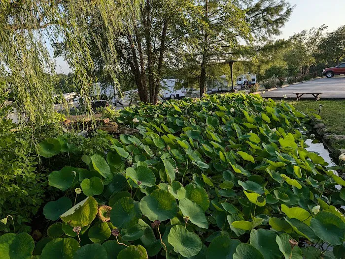 Peculiar Park Place RV Park Picture 9