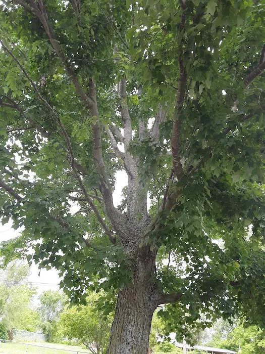 Oasis Mobile Home Park Picture 9