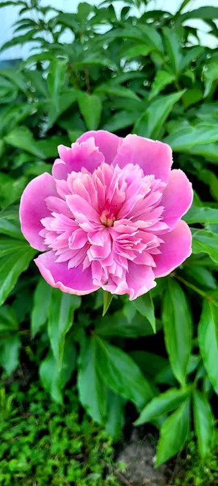 Crown Mobile Home and RV Park Picture 4