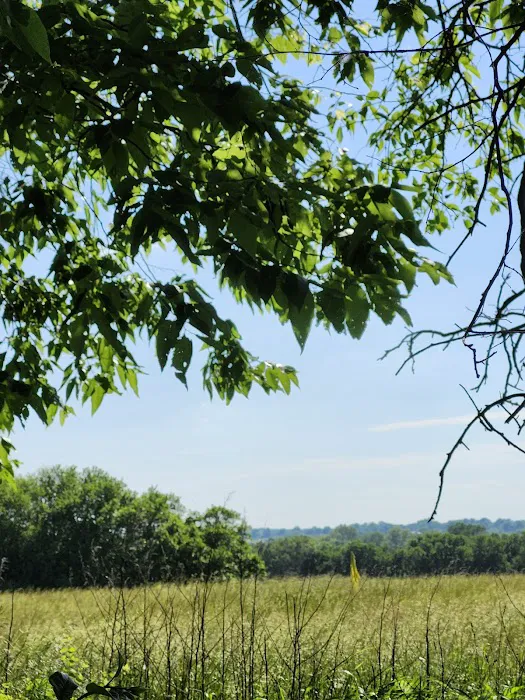 Crown Mobile Home and RV Park Picture 5