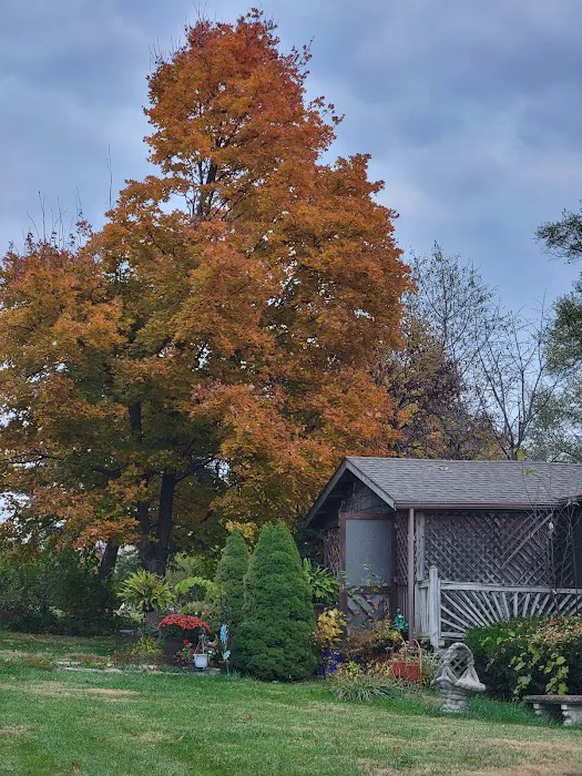 Plaza Acres Court Picture 1