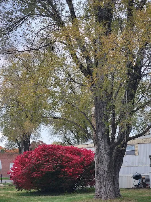 Plaza Acres Court Picture 4