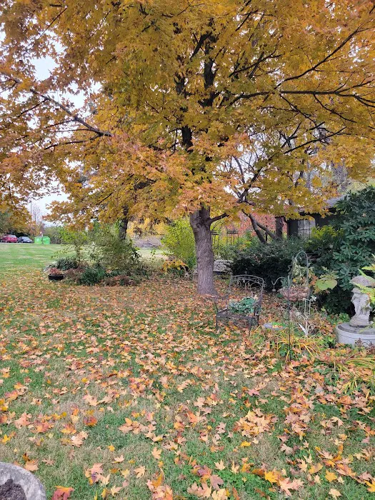 Plaza Acres Court Picture 7