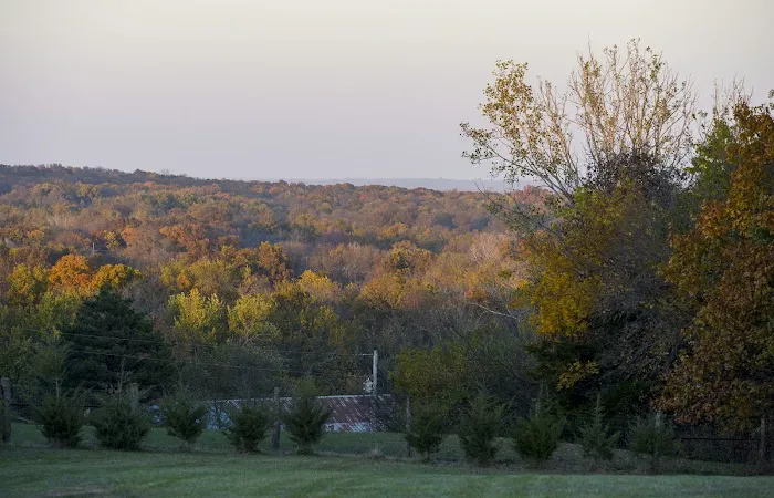 Homewood RV and Campground Picture 7