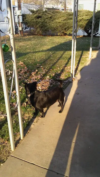 Jeffco Estates Picture 10