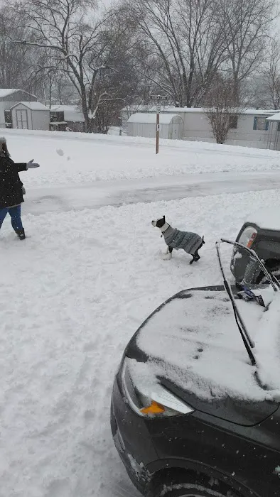 Ozark Mobile Home Park Picture 4