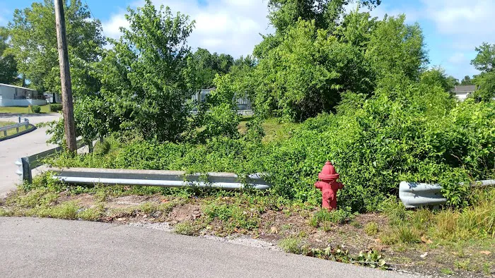 Ozark Mobile Home Park Picture 7