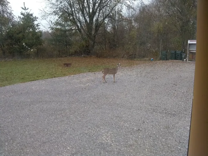 Mayview RV Park Picture 9