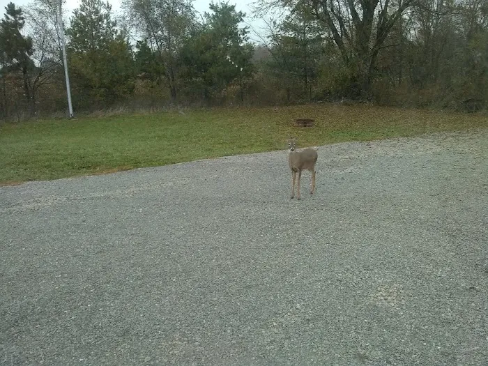 Mayview RV Park Picture 10