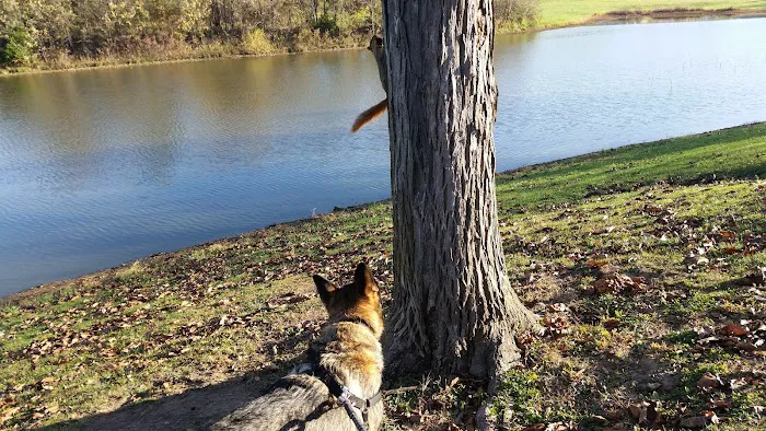 Westside Mobile Home Park Picture 3