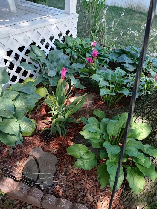 Valley View Village Picture 2