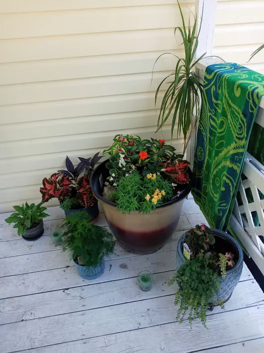 Valley View Village Picture 8