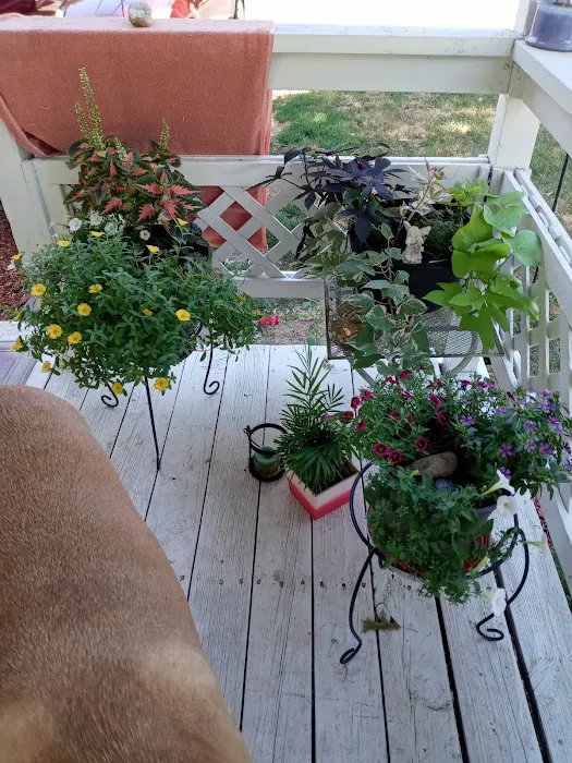 Valley View Village Picture 5