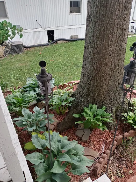 Valley View Village Picture 7