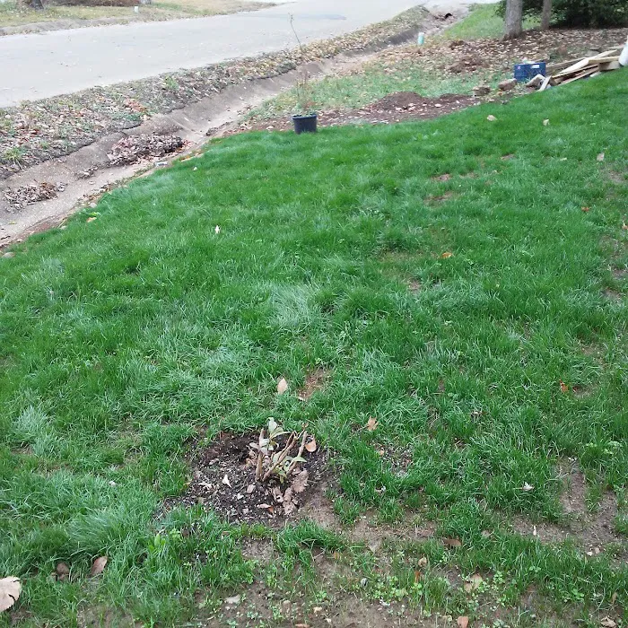 Glendale Trailer Court Picture 2