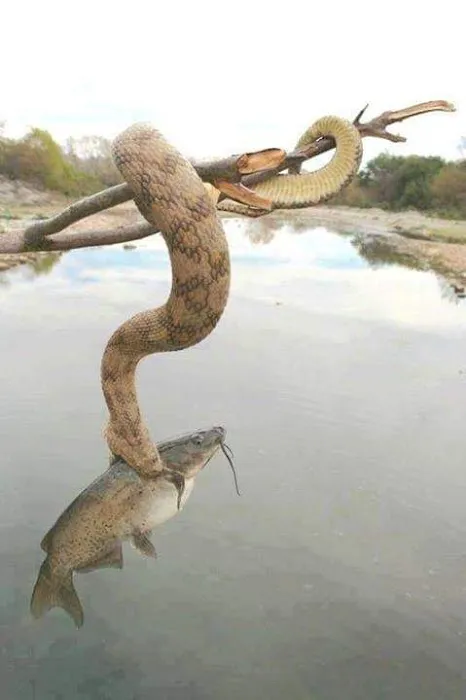 Glendale Trailer Court Picture 1