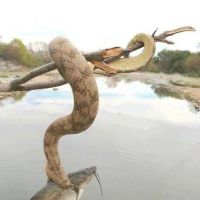 Glendale Trailer Court ico