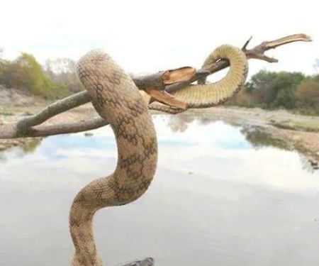 Glendale Trailer Court