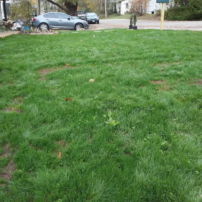 Glendale Trailer Court Picture 4