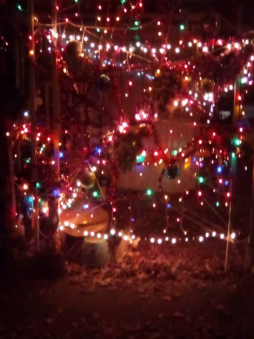 East Gate Trailer Court Inc Picture 5