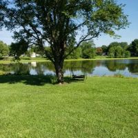 Swan Lake Estates ico