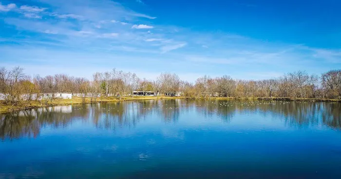 Swan Lake Estates Picture 10