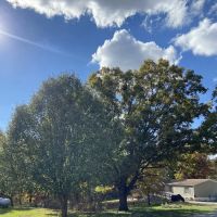 Oakridge Mobile Home Park ico