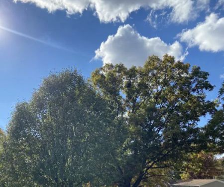 Oakridge Mobile Home Park