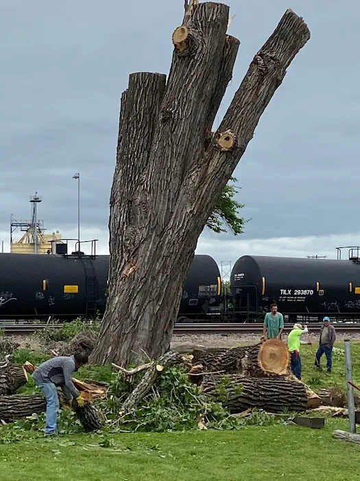 Wagon Wheel Mobile Park, LLC Picture 5