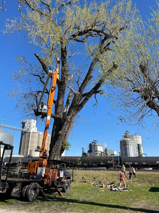 Wagon Wheel Mobile Park, LLC Picture 1