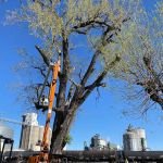 Wagon Wheel Mobile Park, LLC