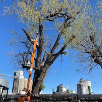 Wagon Wheel Mobile Park, LLC ico