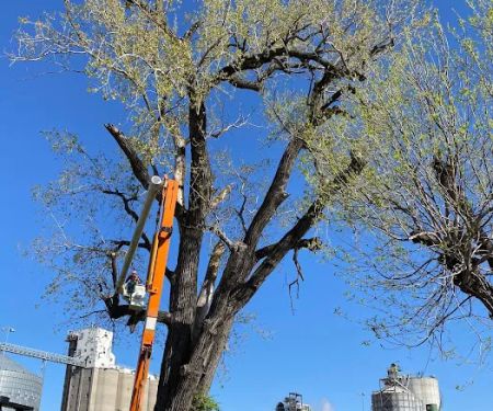 Wagon Wheel Mobile Park, LLC