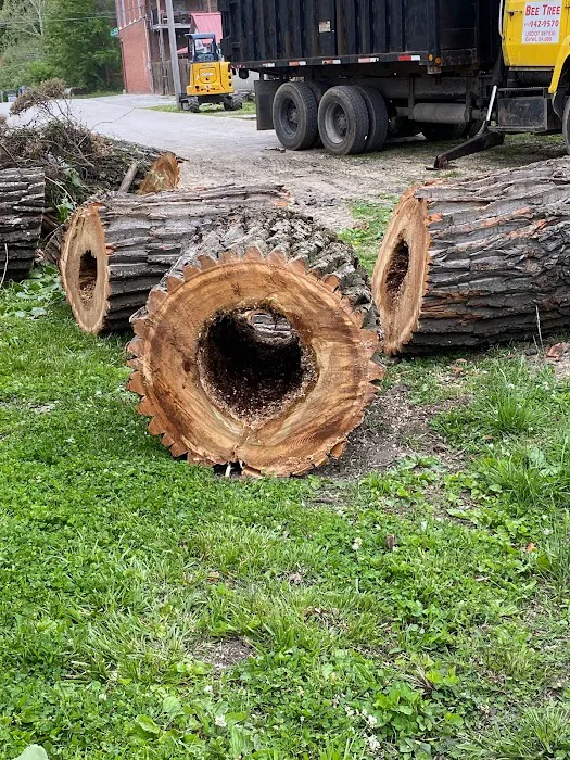 Wagon Wheel Mobile Park, LLC Picture 10