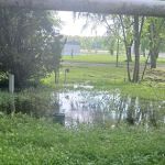 University Flats Mobile Home Park