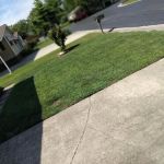 Dutch Hollow Village