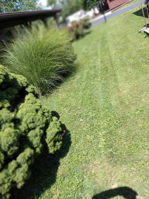 Dutch Hollow Village Picture 7