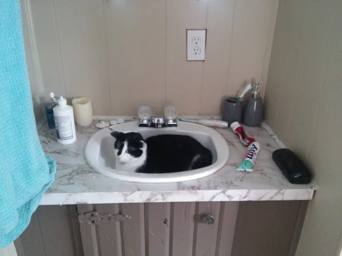 Excelsior Manor Mobile Home Pk Picture 1